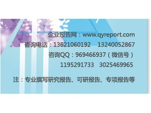 2017-2023年雙飛人藥水市場(chǎng)營(yíng)銷(xiāo)模式分析與投資商機(jī)報(bào)告