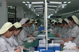 正隆紙品廠(chǎng)暑期工招聘信息詳情與求職指南